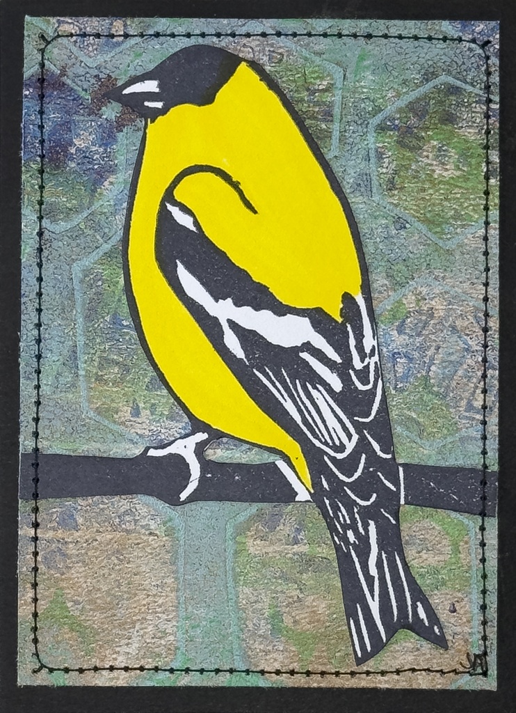 American Goldfinch Wetlands SM