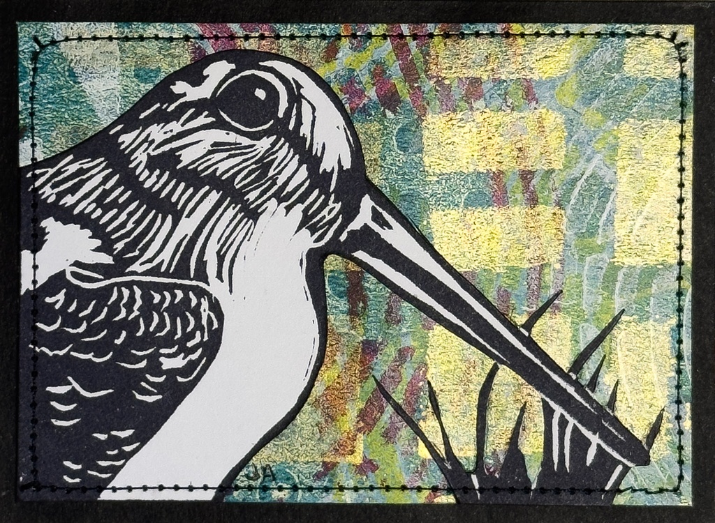 American Woodcock SM