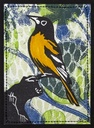 Baltimore Oriole SM