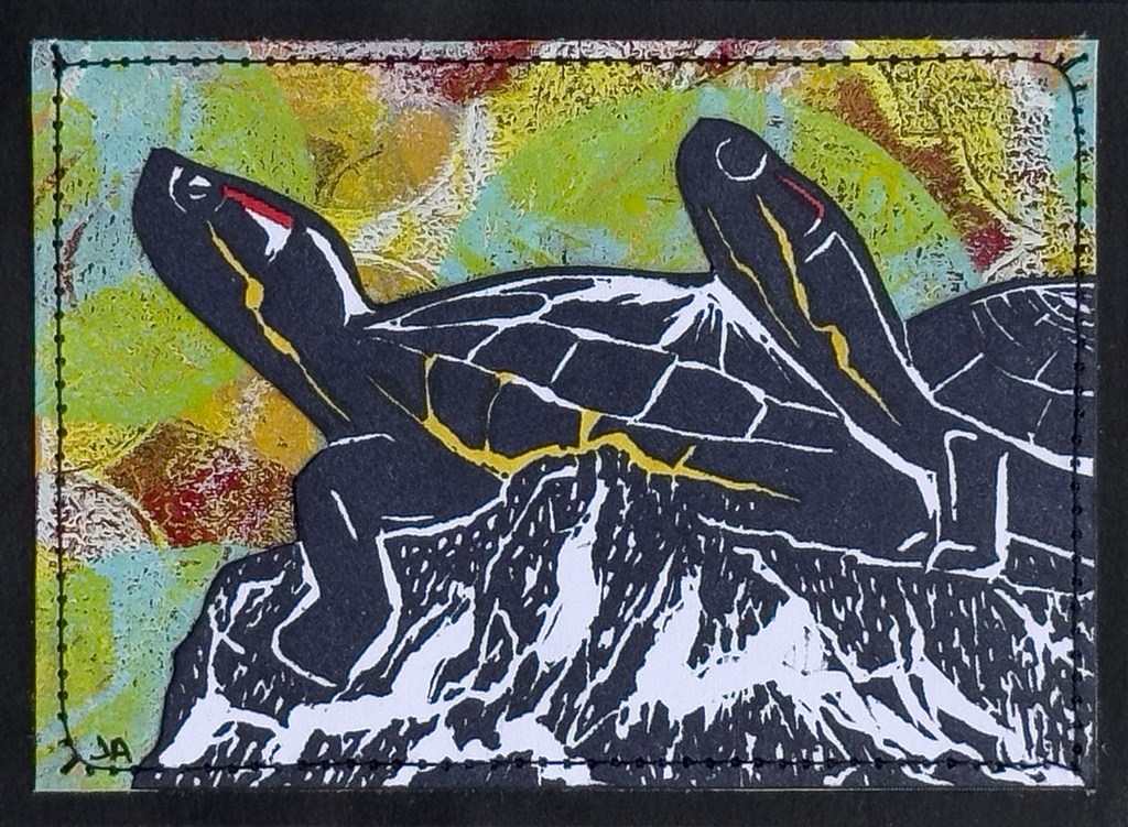 Red-Eared Sliders SM