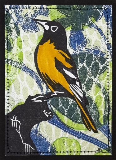 Baltimore Oriole SM
