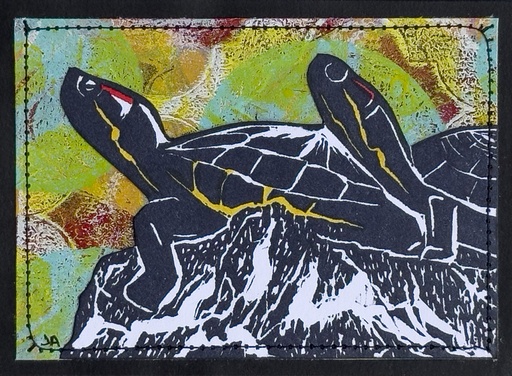 Red-Eared Sliders SM